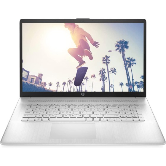 HP 惠普 笔记本电脑 17.3 英寸 HD+ 显示屏(英特尔酷睿 i3-1125G4,8GB DDR4 内存,512GB 固态硬盘,英特尔超高清显卡,Windows 11,QWERTZ 键盘)银色